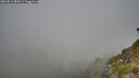./images/calvert/foggy-cove/20260812/foggy-cove20260812_082501M.jpg