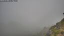 ./images/calvert/foggy-cove/20260812/foggy-cove20260812_083501M.jpg