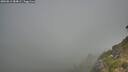 ./images/calvert/foggy-cove/20260812/foggy-cove20260812_084001M.jpg