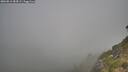 ./images/calvert/foggy-cove/20260812/foggy-cove20260812_084501M.jpg