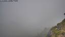 ./images/calvert/foggy-cove/20260812/foggy-cove20260812_085001M.jpg