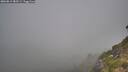 ./images/calvert/foggy-cove/20260812/foggy-cove20260812_085501M.jpg