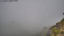 ./images/calvert/foggy-cove/20260812/foggy-cove20260812_090002M.jpg