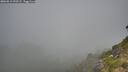 ./images/calvert/foggy-cove/20260812/foggy-cove20260812_090501M.jpg