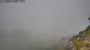 ./images/calvert/foggy-cove/20260812/foggy-cove20260812_091001M.jpg