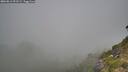 ./images/calvert/foggy-cove/20260812/foggy-cove20260812_091501M.jpg