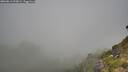 ./images/calvert/foggy-cove/20260812/foggy-cove20260812_092001M.jpg