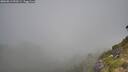 ./images/calvert/foggy-cove/20260812/foggy-cove20260812_092501M.jpg