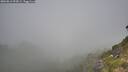./images/calvert/foggy-cove/20260812/foggy-cove20260812_093001M.jpg