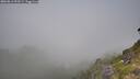 ./images/calvert/foggy-cove/20260812/foggy-cove20260812_093501M.jpg