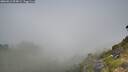 ./images/calvert/foggy-cove/20260812/foggy-cove20260812_094002M.jpg