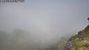./images/calvert/foggy-cove/20260812/foggy-cove20260812_094501M.jpg