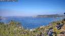 ./images/calvert/foggy-cove/20260812/foggy-cove20260812_105001M.jpg