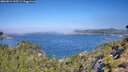 ./images/calvert/foggy-cove/20260812/foggy-cove20260812_105501M.jpg