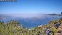 ./images/calvert/foggy-cove/20260812/foggy-cove20260812_110501M.jpg