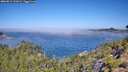 ./images/calvert/foggy-cove/20260812/foggy-cove20260812_111001M.jpg