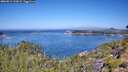 ./images/calvert/foggy-cove/20260812/foggy-cove20260812_113001M.jpg