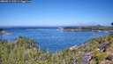 ./images/calvert/foggy-cove/20260812/foggy-cove20260812_113501M.jpg