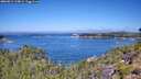 ./images/calvert/foggy-cove/20260812/foggy-cove20260812_114001M.jpg