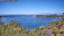 ./images/calvert/foggy-cove/20260812/foggy-cove20260812_114501M.jpg