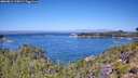 ./images/calvert/foggy-cove/20260812/foggy-cove20260812_115002M.jpg