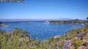 ./images/calvert/foggy-cove/20260812/foggy-cove20260812_115501M.jpg