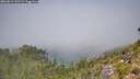 ./images/calvert/foggy-cove/20260812/foggy-cove20260812_121501M.jpg