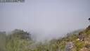 ./images/calvert/foggy-cove/20260812/foggy-cove20260812_122001M.jpg