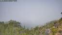 ./images/calvert/foggy-cove/20260812/foggy-cove20260812_122501M.jpg