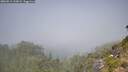 ./images/calvert/foggy-cove/20260812/foggy-cove20260812_123001M.jpg