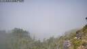 ./images/calvert/foggy-cove/20260812/foggy-cove20260812_123501M.jpg