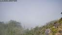 ./images/calvert/foggy-cove/20260812/foggy-cove20260812_124001M.jpg