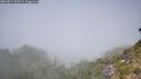 ./images/calvert/foggy-cove/20260812/foggy-cove20260812_124502M.jpg