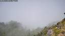 ./images/calvert/foggy-cove/20260812/foggy-cove20260812_125001M.jpg