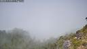 ./images/calvert/foggy-cove/20260812/foggy-cove20260812_125501M.jpg