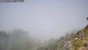 ./images/calvert/foggy-cove/20260812/foggy-cove20260812_130002M.jpg