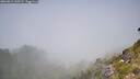 ./images/calvert/foggy-cove/20260812/foggy-cove20260812_130501M.jpg
