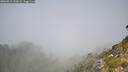 ./images/calvert/foggy-cove/20260812/foggy-cove20260812_131001M.jpg