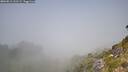 ./images/calvert/foggy-cove/20260812/foggy-cove20260812_131501M.jpg