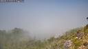 ./images/calvert/foggy-cove/20260812/foggy-cove20260812_132501M.jpg