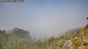 ./images/calvert/foggy-cove/20260812/foggy-cove20260812_133001M.jpg