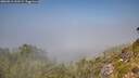 ./images/calvert/foggy-cove/20260812/foggy-cove20260812_133501M.jpg