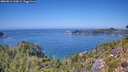 ./images/calvert/foggy-cove/20260812/foggy-cove20260812_135002M.jpg