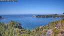 ./images/calvert/foggy-cove/20260812/foggy-cove20260812_140002M.jpg