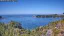 ./images/calvert/foggy-cove/20260812/foggy-cove20260812_141001M.jpg