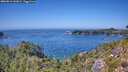 ./images/calvert/foggy-cove/20260812/foggy-cove20260812_142001M.jpg
