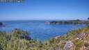 ./images/calvert/foggy-cove/20260812/foggy-cove20260812_142501M.jpg