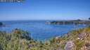 ./images/calvert/foggy-cove/20260812/foggy-cove20260812_143001M.jpg