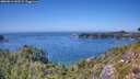 ./images/calvert/foggy-cove/20260812/foggy-cove20260812_143501M.jpg