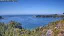 ./images/calvert/foggy-cove/20260812/foggy-cove20260812_145501M.jpg